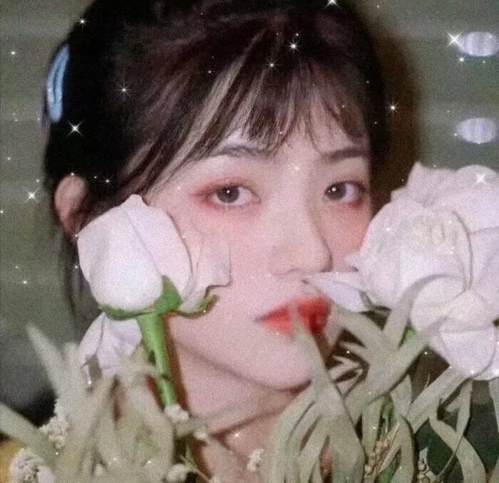 真相捕捉第一季